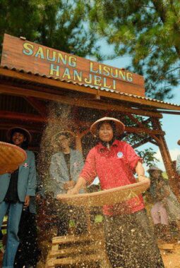 Potensi Tersembunyi Waluran Sukabumi, Hanjeli Jadi Kunci Ekonomi Lokal
