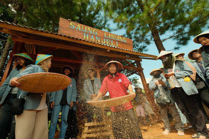 Potensi Tersembunyi Waluran Sukabumi, Hanjeli Jadi Kunci Ekonomi Lokal 